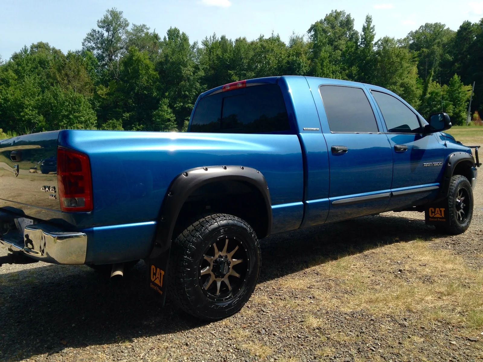 Washed and detailed pickup truck at Dixie Detail and Washouts